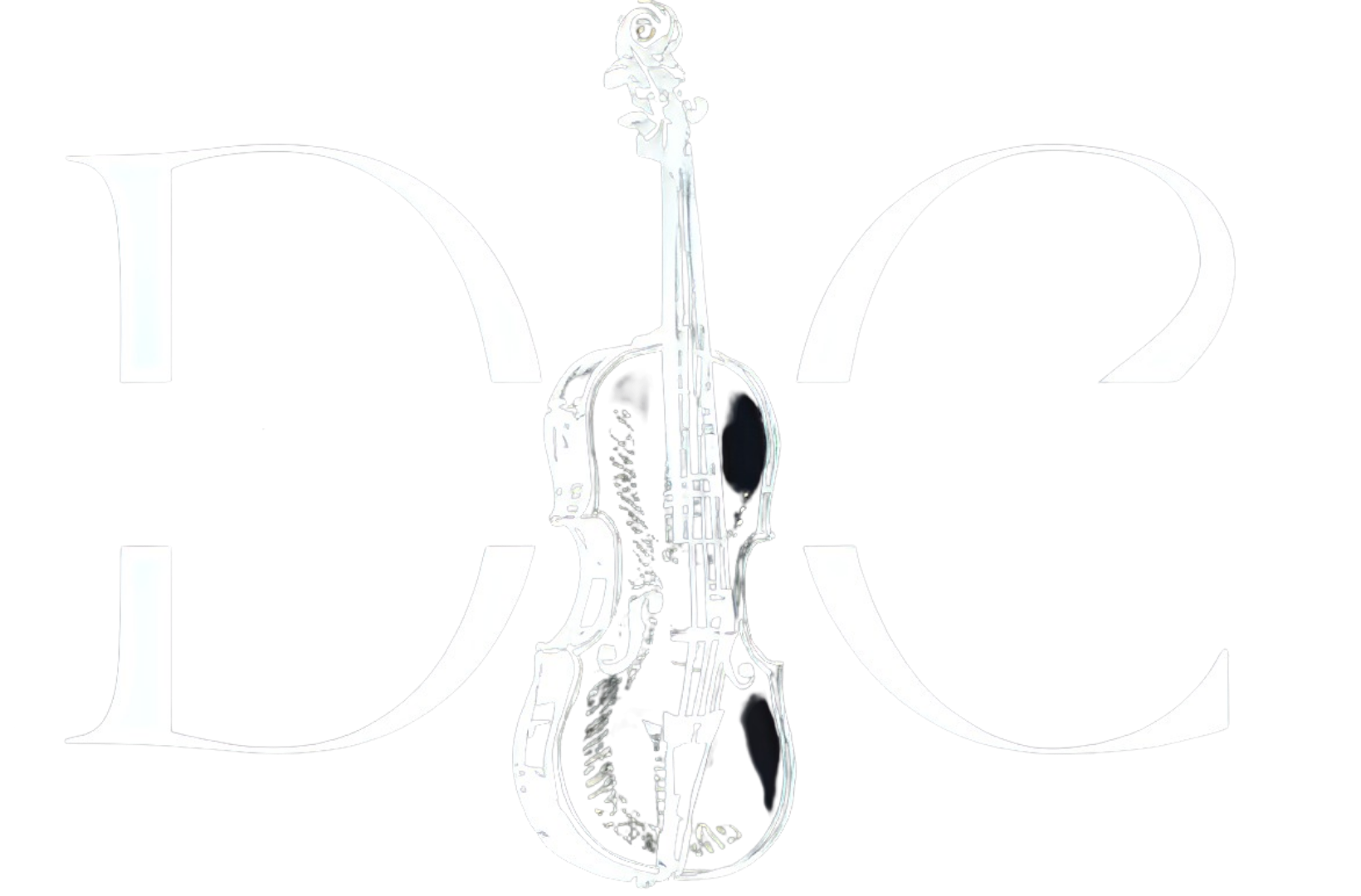 Daniel Violinista
